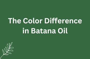Reason for Difference in Color in Batana Oil