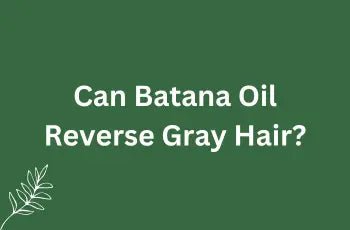 Can Batana Oil Reverse Gray Hair?