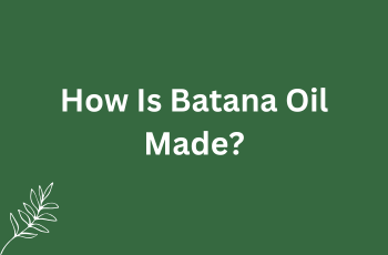 How Is Batana Oil Made?