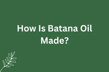 How Is Batana Oil Made?