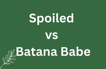 SPOILED FAKE BATANA OIL